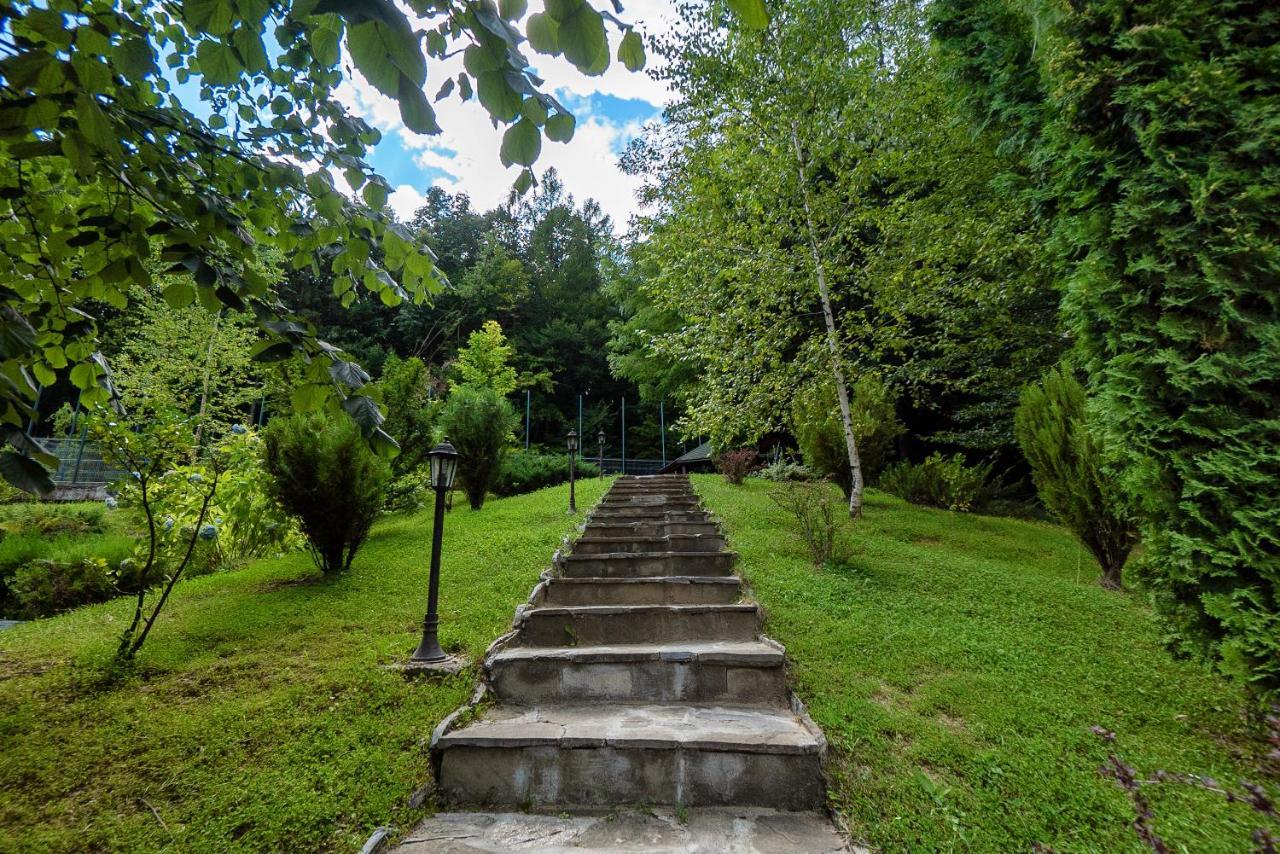 Hotel Tisa Бэи­ле-Олэ­неш­ти Экстерьер фото