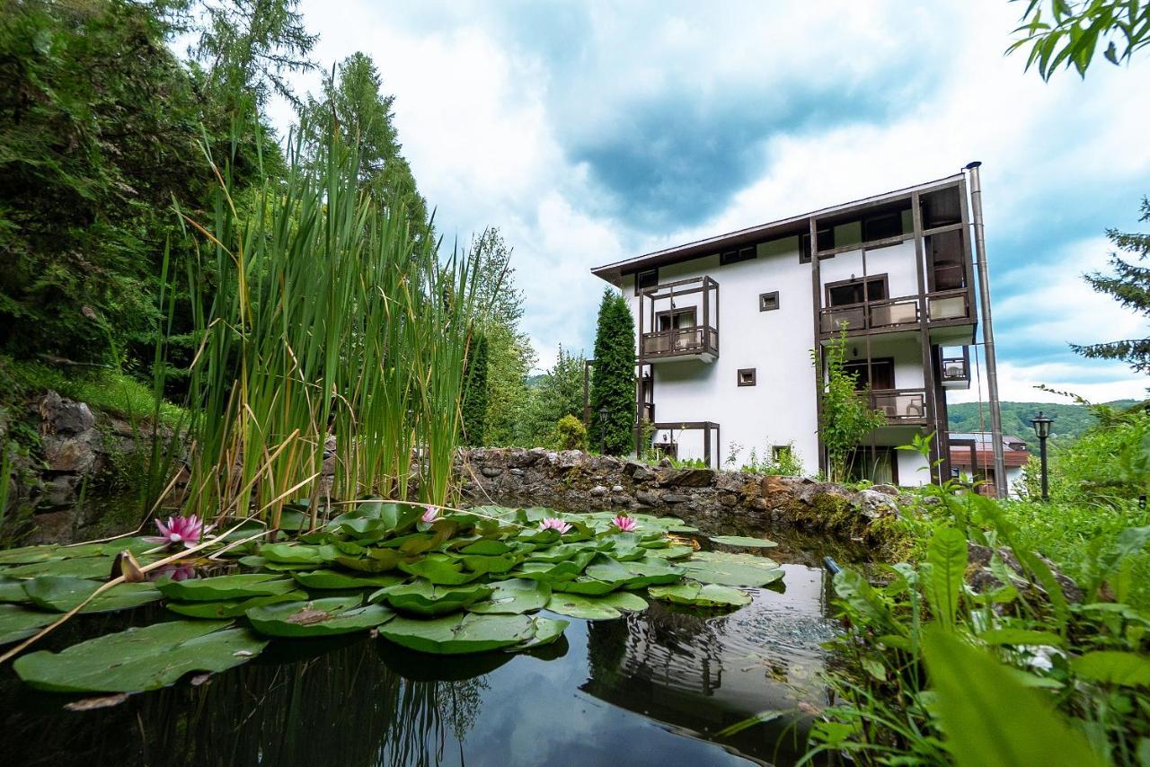 Hotel Tisa Бэи­ле-Олэ­неш­ти Экстерьер фото